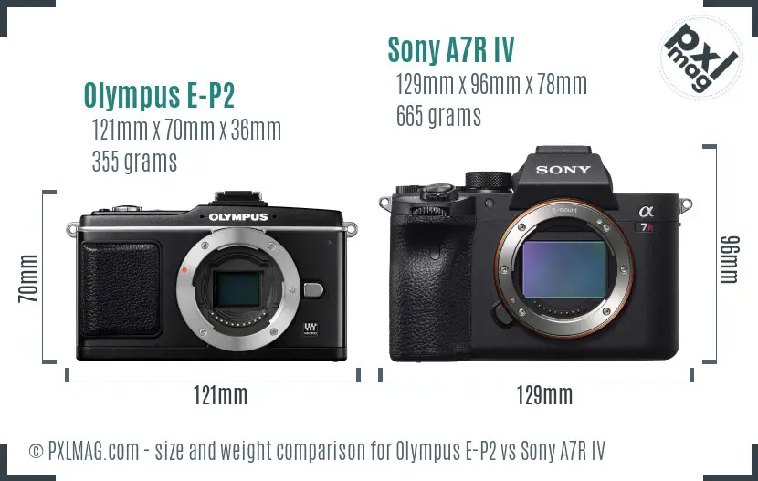 Olympus E-P2 vs Sony A7R IV size comparison