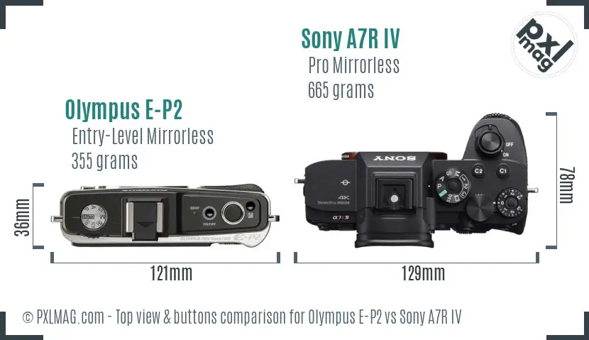 Olympus E-P2 vs Sony A7R IV top view buttons comparison