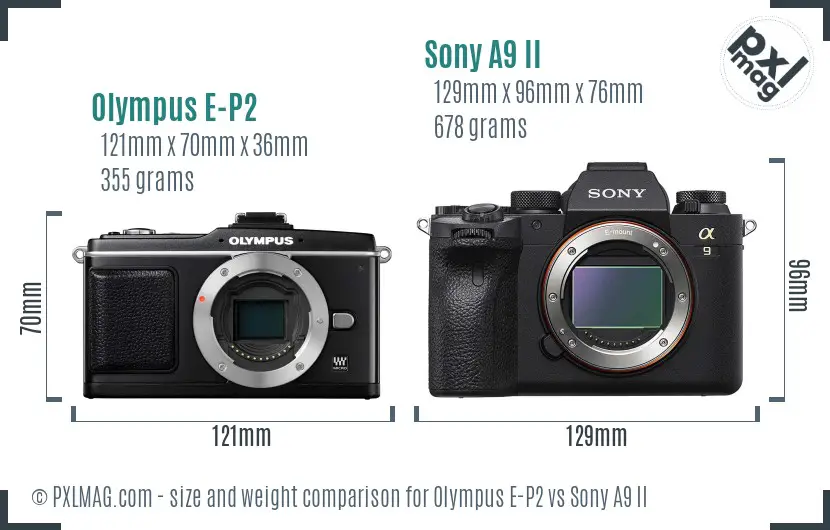 Olympus E-P2 vs Sony A9 II size comparison