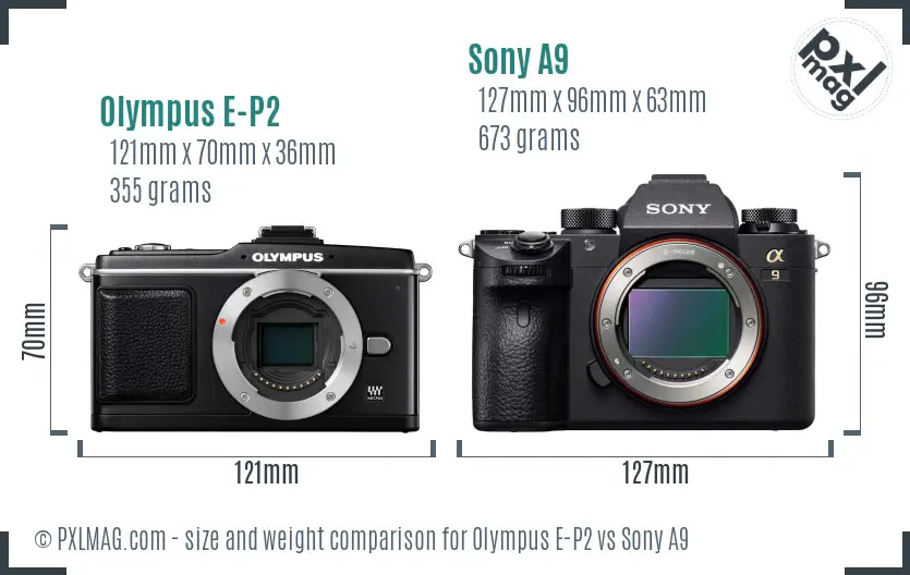 Olympus E-P2 vs Sony A9 size comparison Olympus E-P2 vs Sony A9 size comparison