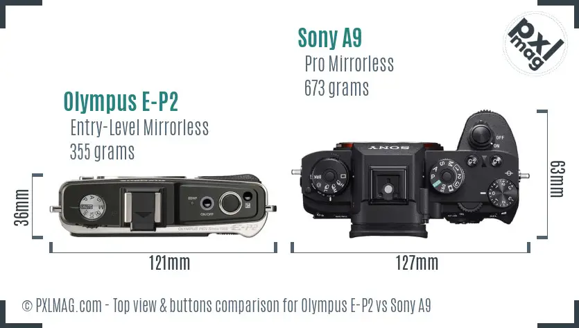 Olympus E-P2 vs Sony A9 top view buttons comparison Olympus E-P2 vs Sony A9 top view buttons comparison