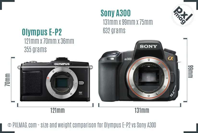 Olympus E-P2 vs Sony A300 size comparison