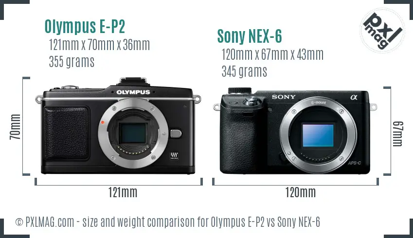 Olympus E-P2 vs Sony NEX-6 size comparison