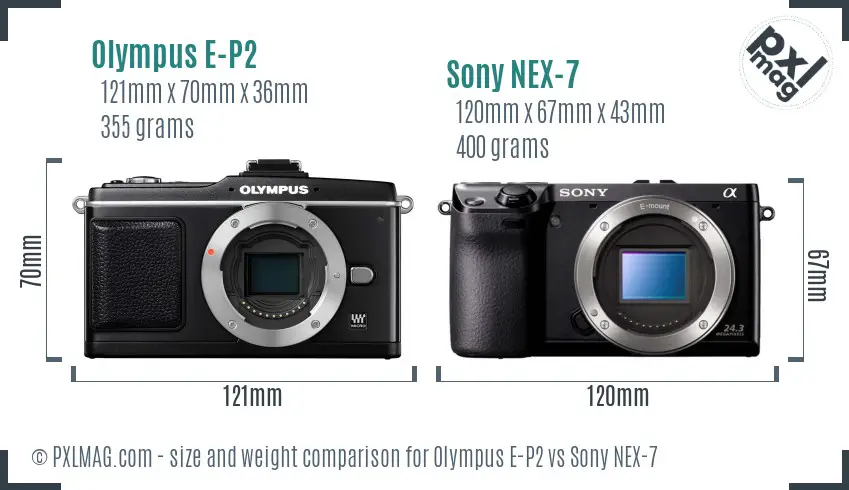 Olympus E-P2 vs Sony NEX-7 size comparison