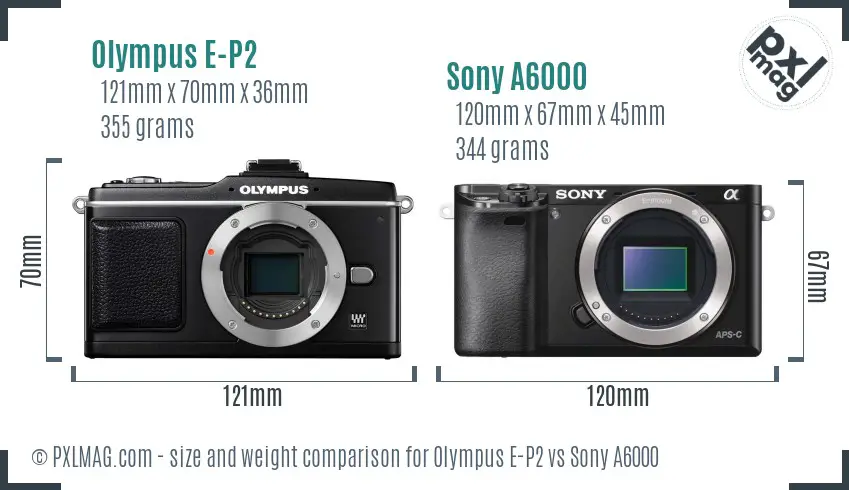 Olympus E-P2 vs Sony A6000 size comparison