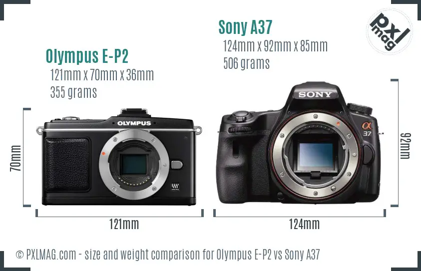 Olympus E-P2 vs Sony A37 size comparison