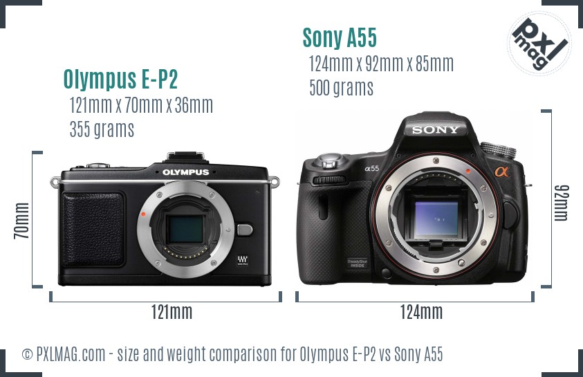 Olympus E-P2 vs Sony A55 size comparison