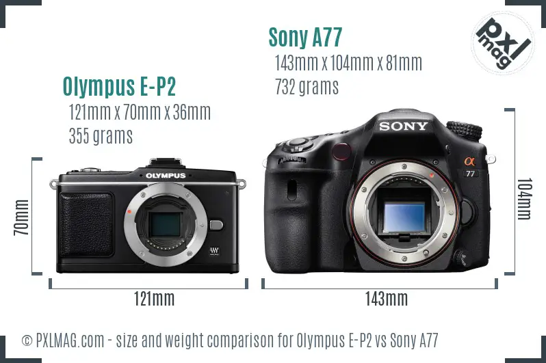 Olympus E-P2 vs Sony A77 size comparison