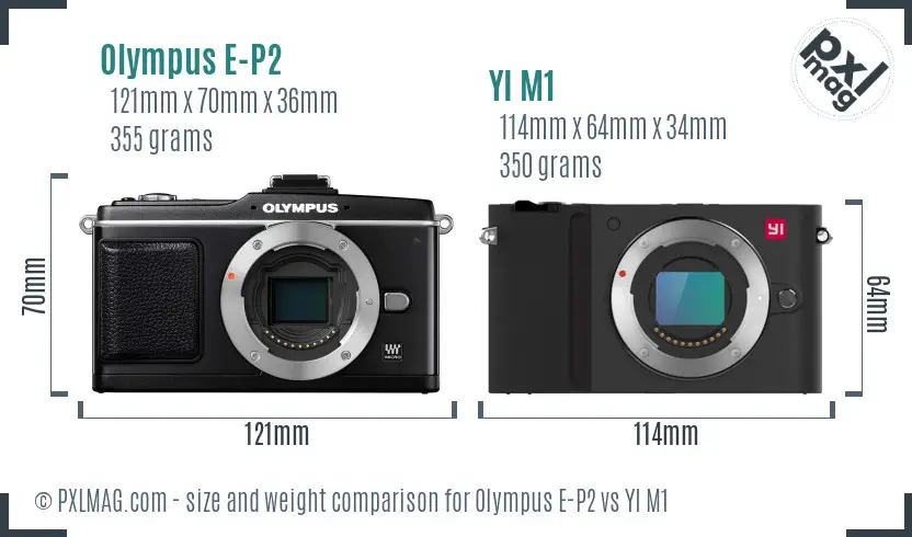 Olympus E-P2 vs YI M1 size comparison
