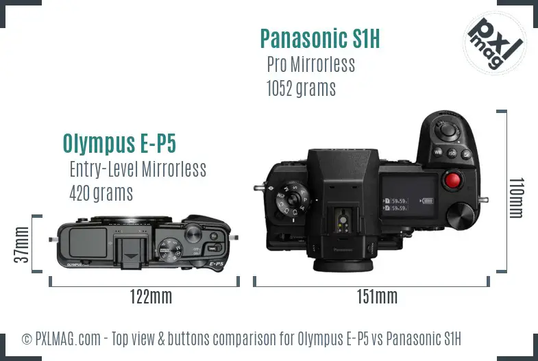 Olympus E-P5 vs Panasonic S1H top view buttons comparison