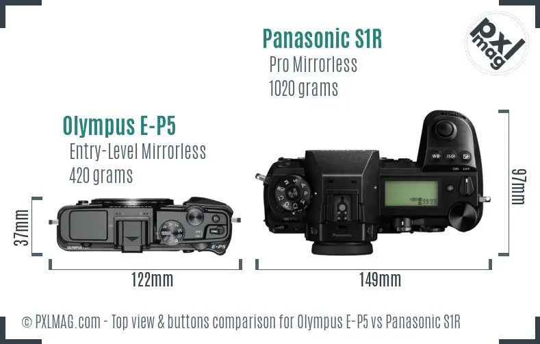 Olympus E-P5 vs Panasonic S1R top view buttons comparison