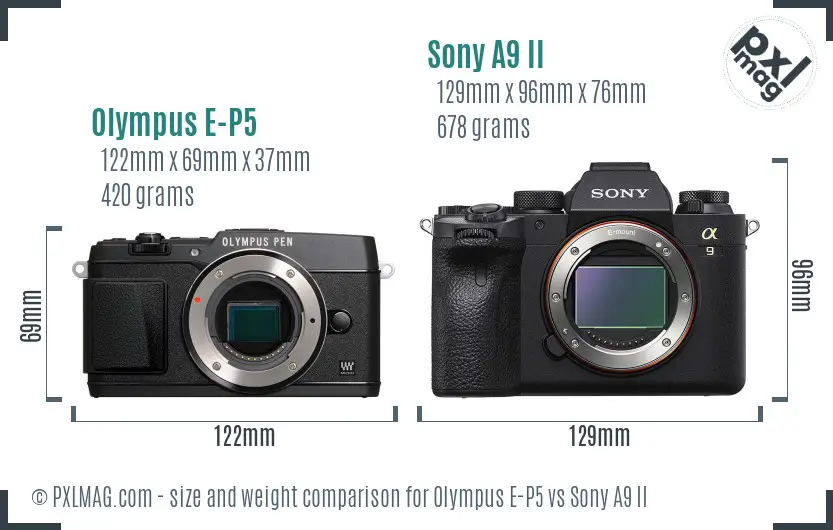 Olympus E-P5 vs Sony A9 II size comparison
