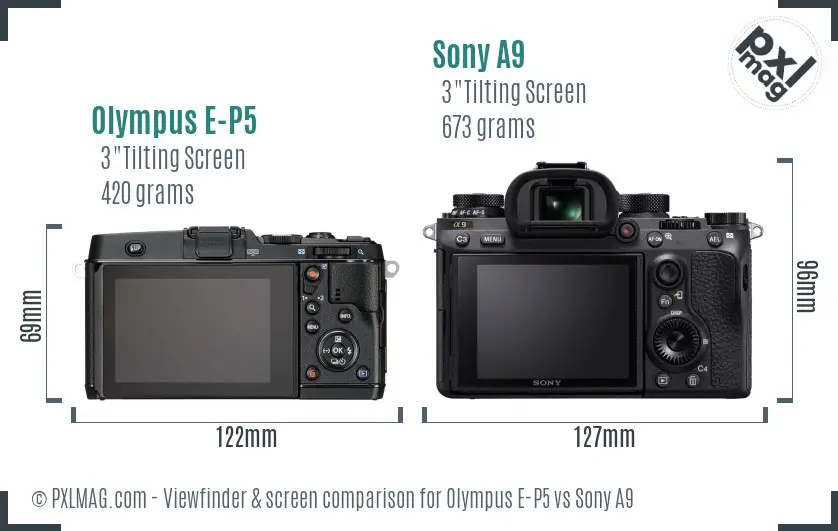 Olympus E-P5 vs Sony A9 Screen and Viewfinder comparison