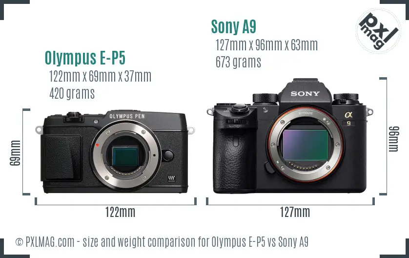 Olympus E-P5 vs Sony A9 size comparison