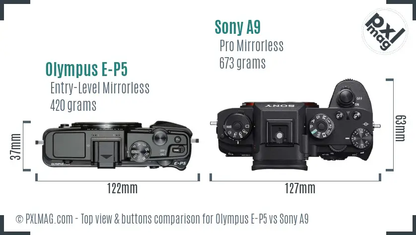 Olympus E-P5 vs Sony A9 top view buttons comparison