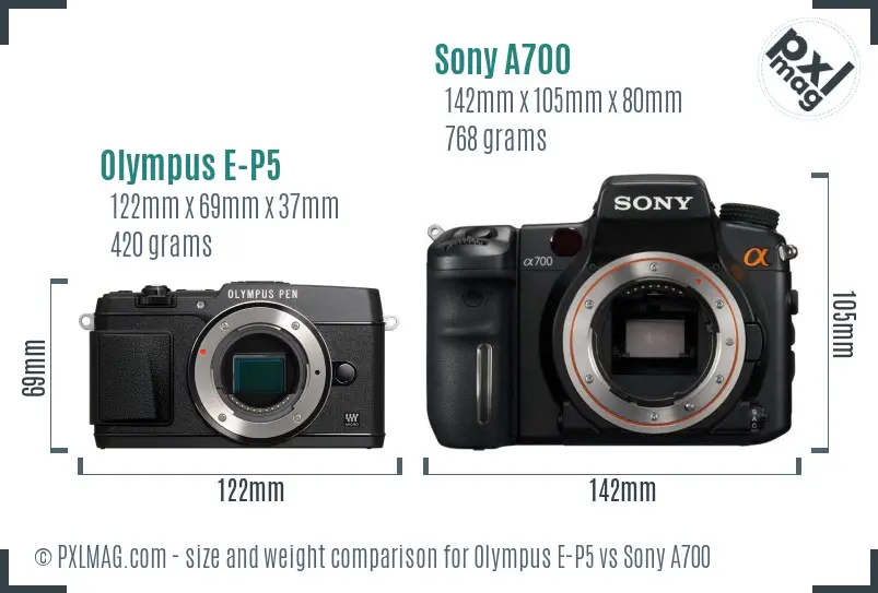 Olympus E-P5 vs Sony A700 size comparison