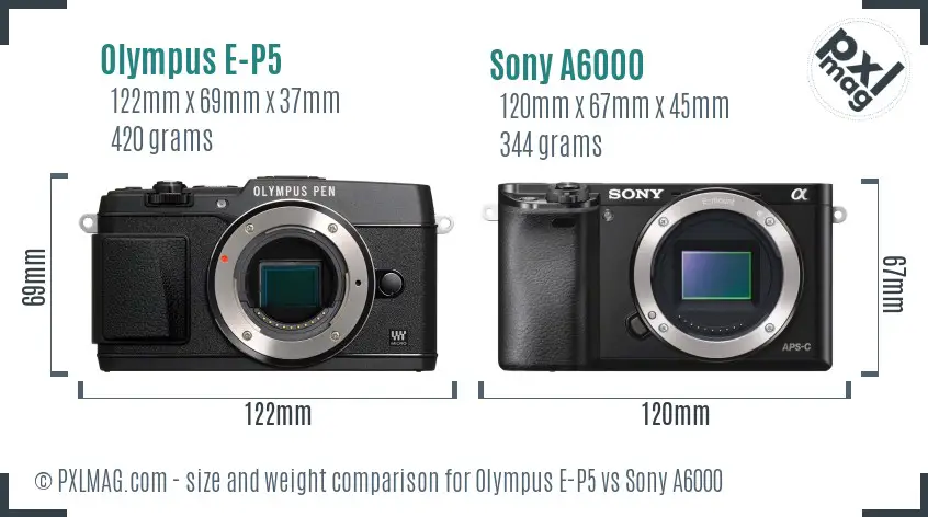 Olympus E-P5 vs Sony A6000 size comparison