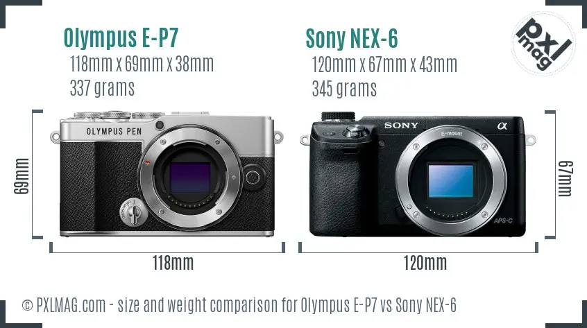 Olympus E-P7 vs Sony NEX-6 size comparison Olympus E-P7 vs Sony NEX-6 size comparison