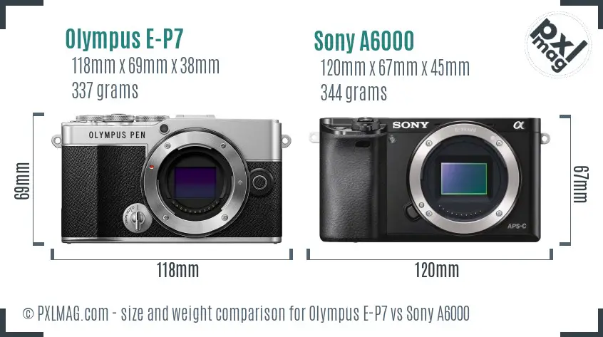 Olympus E-P7 vs Sony A6000 size comparison