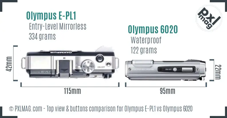 Olympus E-PL1 vs Olympus 6020 top view buttons comparison