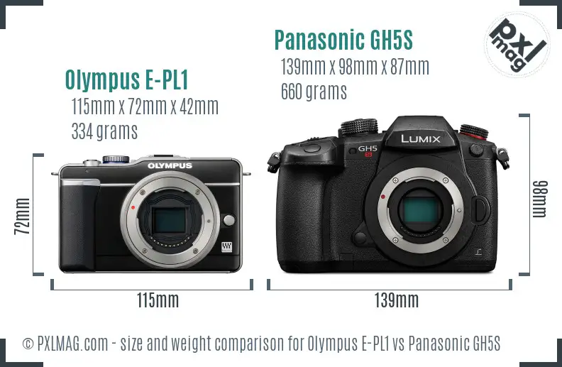Olympus E-PL1 vs Panasonic GH5S size comparison