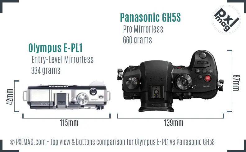 Olympus E-PL1 vs Panasonic GH5S top view buttons comparison