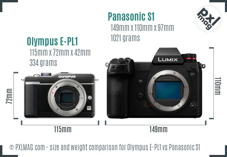 Olympus E-PL1 vs Panasonic S1 size comparison