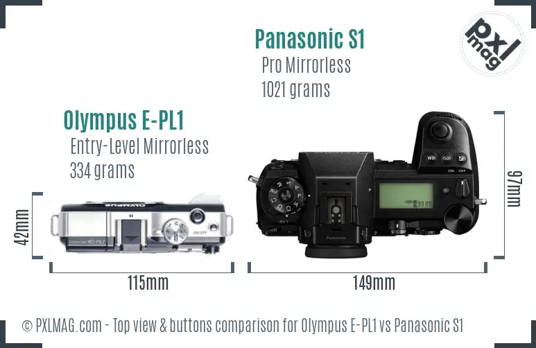 Olympus E-PL1 vs Panasonic S1 top view buttons comparison