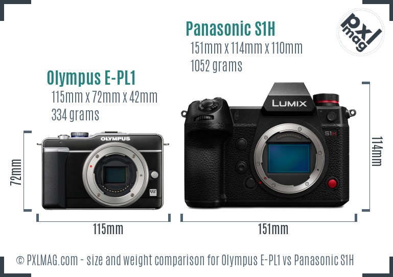 Olympus E-PL1 vs Panasonic S1H size comparison