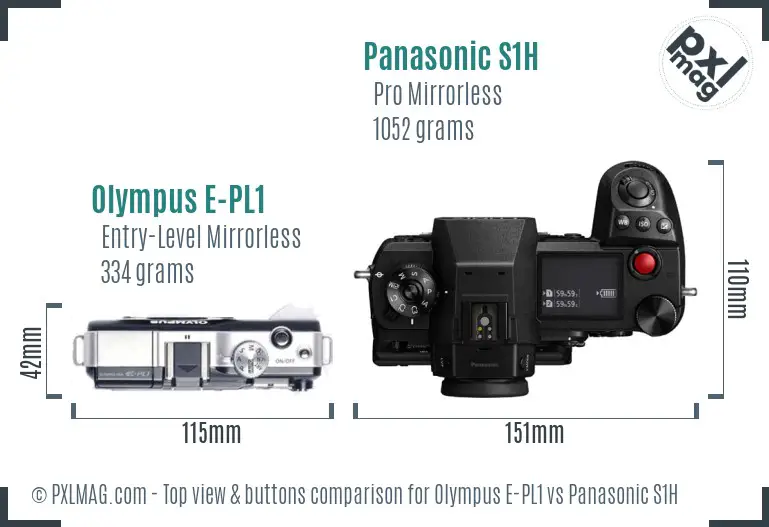 Olympus E-PL1 vs Panasonic S1H top view buttons comparison