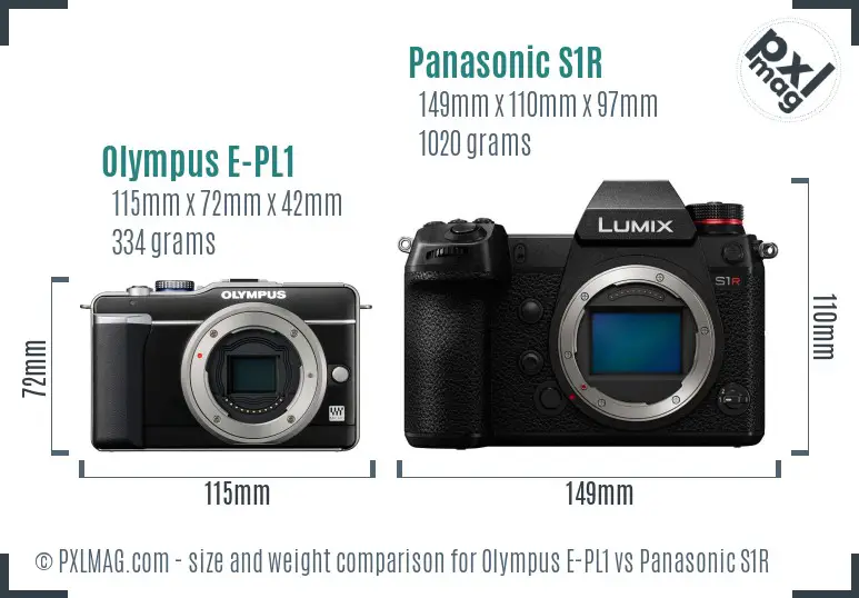 Olympus E-PL1 vs Panasonic S1R size comparison
