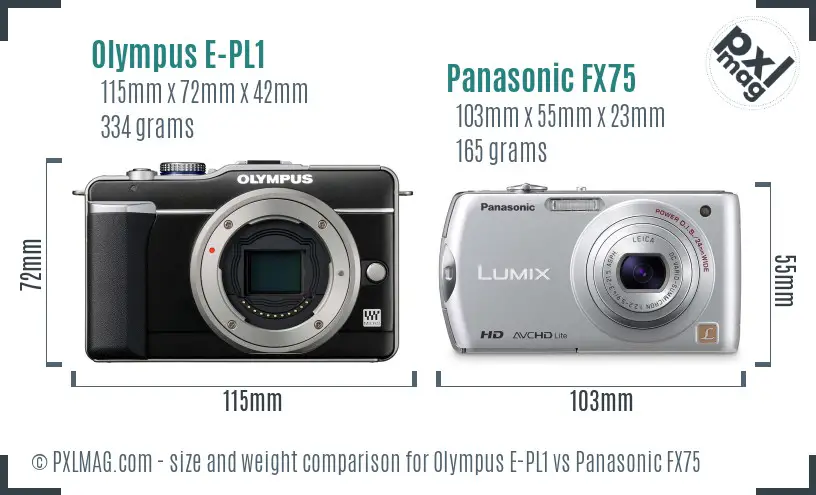 Olympus E-PL1 vs Panasonic FX75 size comparison