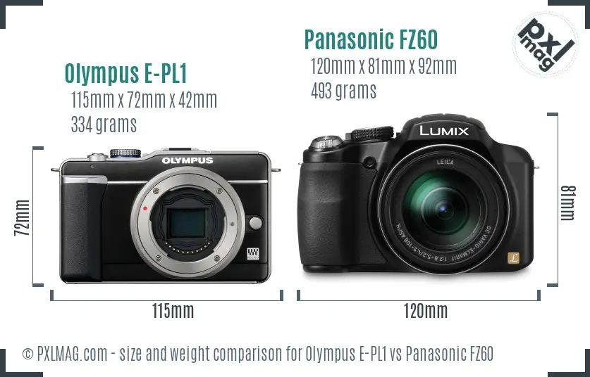 Olympus E-PL1 vs Panasonic FZ60 size comparison