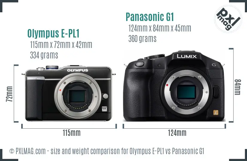 Olympus E-PL1 vs Panasonic G1 size comparison