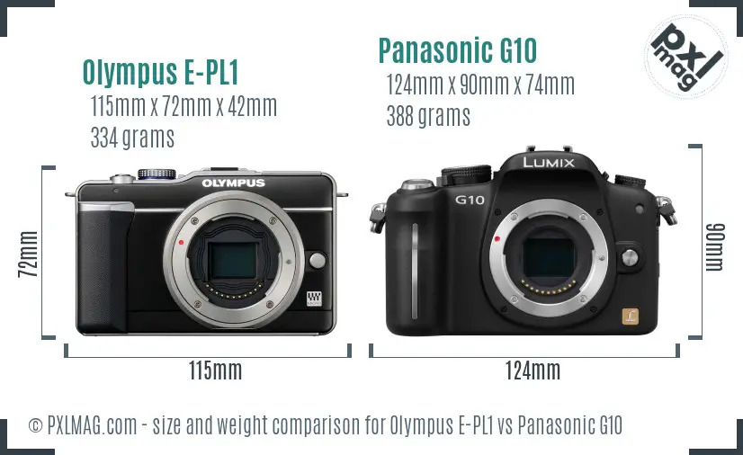 Olympus E-PL1 vs Panasonic G10 size comparison