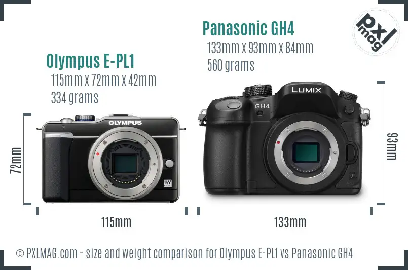 Olympus E-PL1 vs Panasonic GH4 size comparison