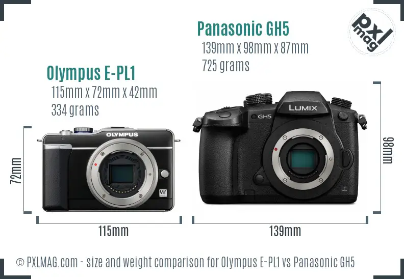 Olympus E-PL1 vs Panasonic GH5 size comparison