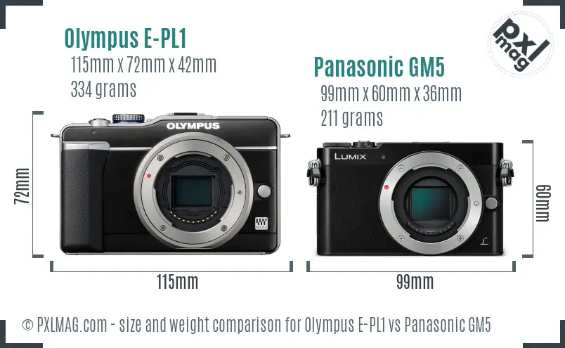 Olympus E-PL1 vs Panasonic GM5 size comparison