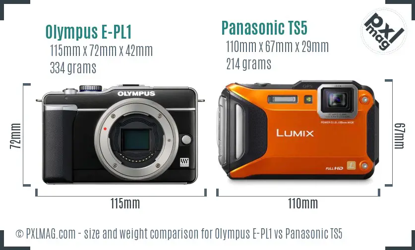 Olympus E-PL1 vs Panasonic TS5 size comparison