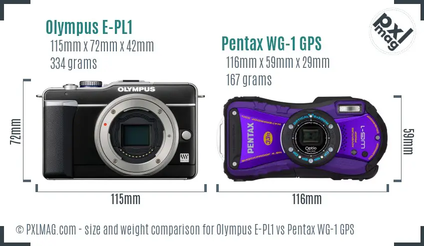 Olympus E-PL1 vs Pentax WG-1 GPS size comparison