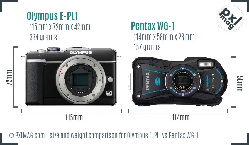 Olympus E-PL1 vs Pentax WG-1 size comparison