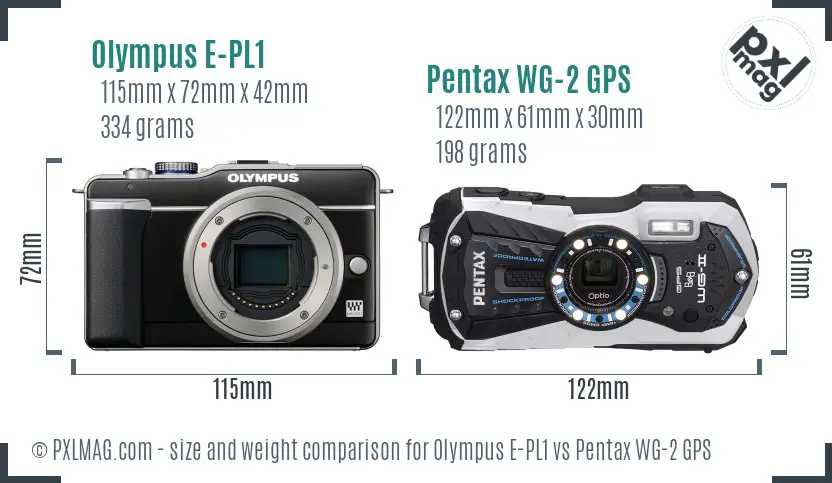 Olympus E-PL1 vs Pentax WG-2 GPS size comparison