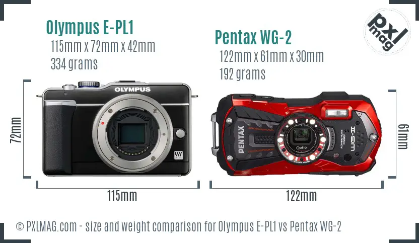 Olympus E-PL1 vs Pentax WG-2 size comparison