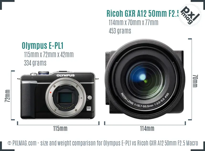 Olympus E-PL1 vs Ricoh GXR A12 50mm F2.5 Macro size comparison