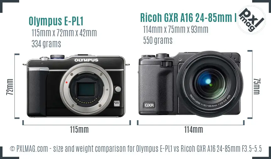 Olympus E-PL1 vs Ricoh GXR A16 24-85mm F3.5-5.5 size comparison Olympus E-PL1 vs Ricoh GXR A16 24-85mm F3.5-5.5 size comparison