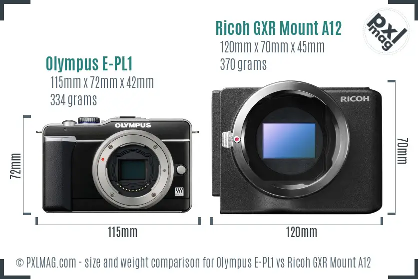 Olympus E-PL1 vs Ricoh GXR Mount A12 size comparison