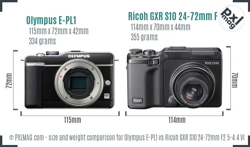 Olympus E-PL1 vs Ricoh GXR S10 24-72mm F2.5-4.4 VC size comparison