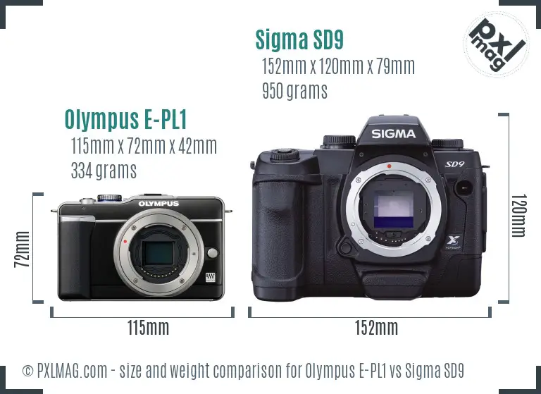 Olympus E-PL1 vs Sigma SD9 size comparison Olympus E-PL1 vs Sigma SD9 size comparison