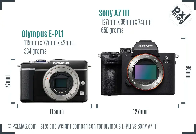 Olympus E-PL1 vs Sony A7 III size comparison