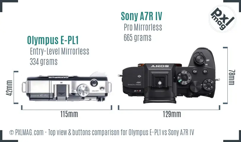Olympus E-PL1 vs Sony A7R IV top view buttons comparison